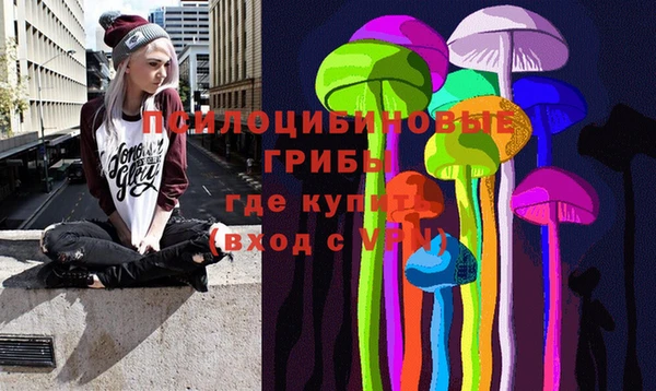 а пвп мука Белокуриха