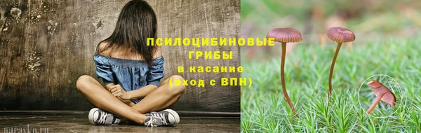 а пвп мука Белокуриха